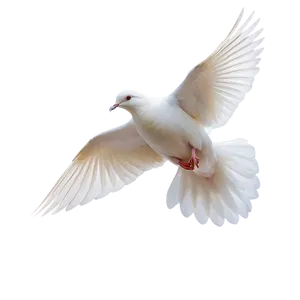 Dove In Sky Png Hde PNG image