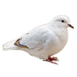 Dove Line Art PNG 05042024 PNG