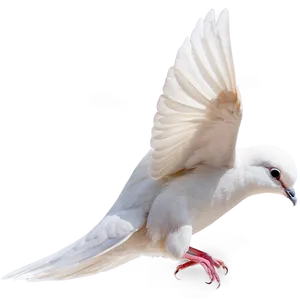 Dove Profile Png Aup PNG image