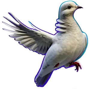 Dove Profile Png Vtn25 PNG image