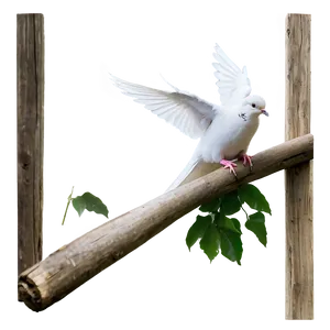 Dove Release Png 05042024 PNG image