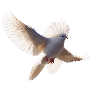 Dove Silhouette Vector PNG 76 PNG