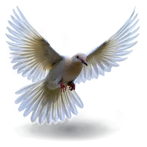 Dove Wings PNG 05042024