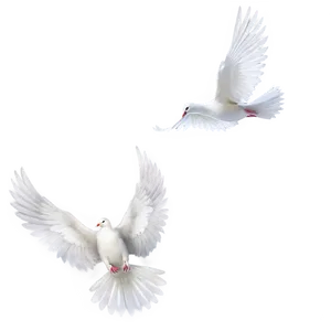 Dove Wings PNG Emu28