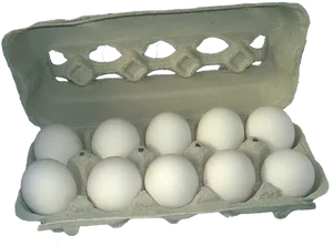 Dozen White Eggsin Carton PNG image