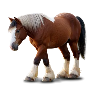 Draft Horse PNG Pof