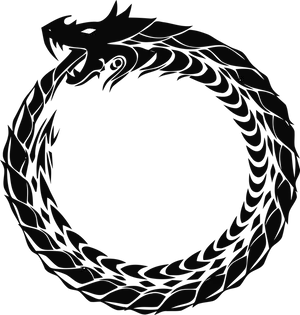 Dragon Circle Vector Art PNG image