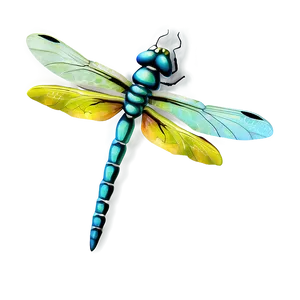 Dragonfly Clipart Png 05212024 PNG image