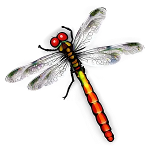 Dragonfly Clipart Png Lun PNG image