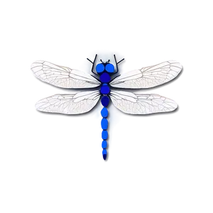 Dragonfly Design Png Bbr2 PNG image