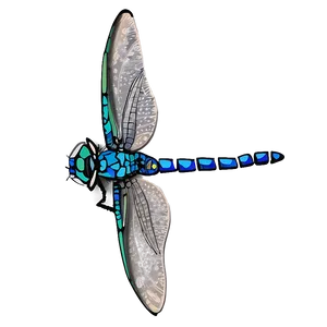 Dragonfly Design PNG Qpv34