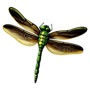 Dragonfly Illustration Png 05212024 PNG image