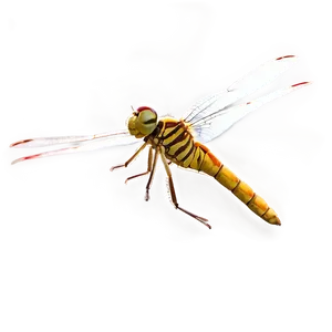Dragonfly In Flight PNG Orl31 PNG