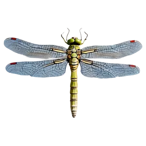 Dragonfly Outline PNG Eom