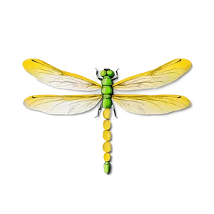 Dragonfly Pattern Png 05212024 PNG image