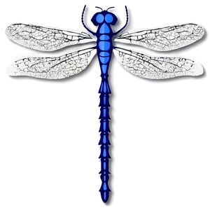 Dragonfly Silhouette PNG 27