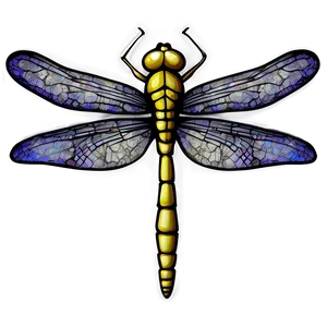 Dragonfly Sketch Png 05212024 PNG image