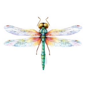 Dragonfly Watercolor Art Png 05212024 PNG image