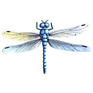 Dragonfly Watercolor Art PNG 7 PNG
