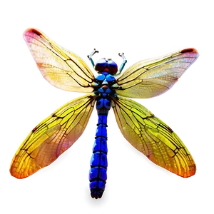 Dragonfly Wings Png 19 PNG image