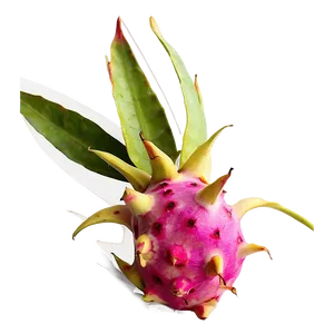 Dragonfruit On Kitchen Counter Png 06122024 PNG image