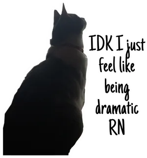 Dramatic Cat Silhouette_ Meme PNG image