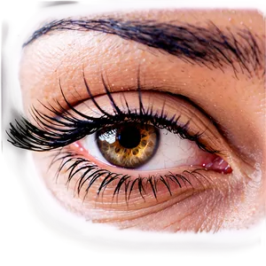 Dramatic Volume Lashes Png 05252024 PNG image