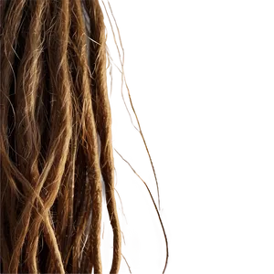 Dreadlock Hair Texture PNG 9