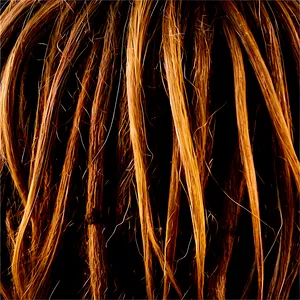 Dreadlock Hair Texture PNG Dpv