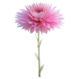 "dream In Blossom: Inspiring Flower PNG" D