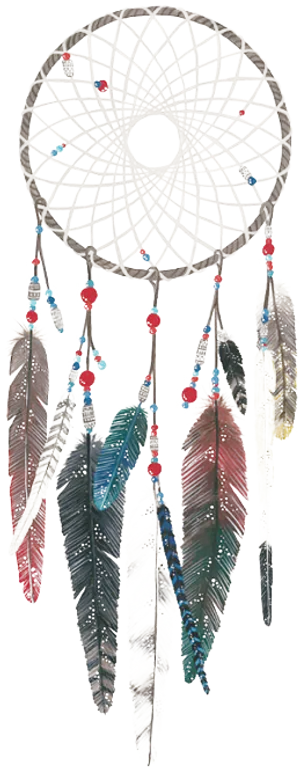 Dreamcatcher Traditional Craft PNG image