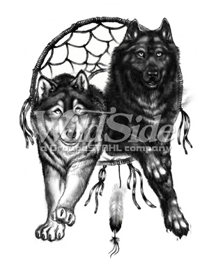 Dreamcatcher Wolves Artwork PNG image