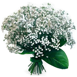 Dreamy Babys Breath Cloud Png 06132024 PNG image