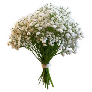 Dreamy Babys Breath Cloud Png Gxm83 PNG image