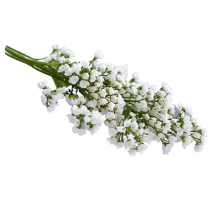 Dreamy Babys Breath Cloud Png Yov PNG image