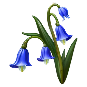 Dreamy Bluebell PNG 06252024