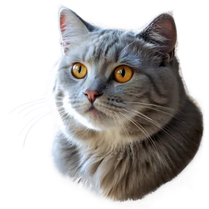 Dreamy Cat Artwork PNG Efg52
