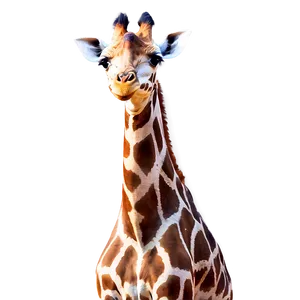 Dreamy Giraffe Landscape PNG Kae74
