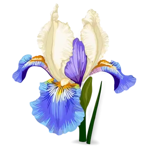 Dreamy Iris PNG Eju