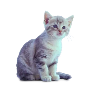 Dreamy Kitten Png 24 PNG image