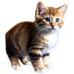 Dreamy Kitten PNG Vql4 PNG