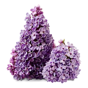 Dreamy Lilac PNG 06122024