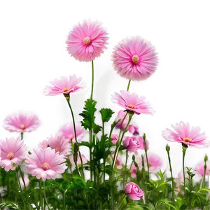 Dreamy Pink Flower Field PNG 05242024