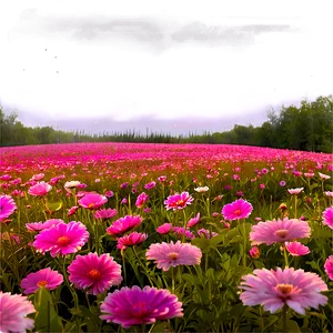 Dreamy Pink Flower Field PNG Jxm60