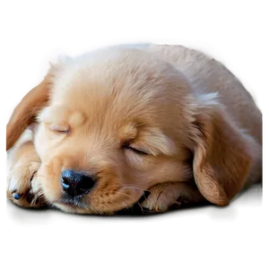 Dreamy Puppy Nap Png 05212024 PNG image