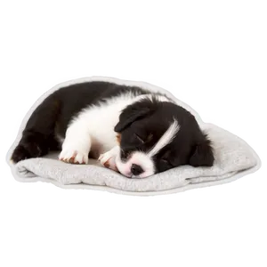 Dreamy Puppy Nap Png 05212024 PNG image