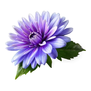 Dreamy Purple Flower PNG 05242024 PNG