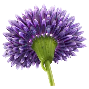 Dreamy Purple Flower PNG Akl22 PNG