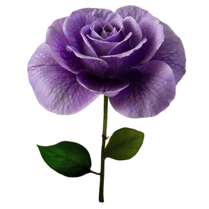 Dreamy Purple Flower PNG Hlw PNG