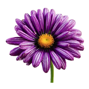 Dreamy Purple Flower PNG Lqr PNG